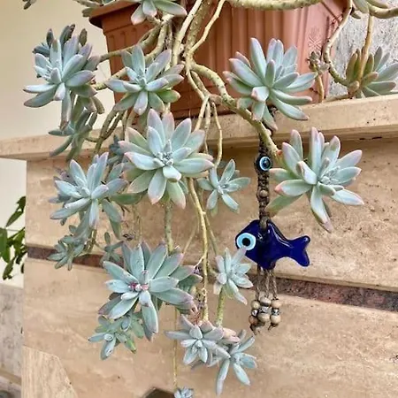 Villa Mit Garten, 500 M Zum Strand, In Der Naehe Der Stadt