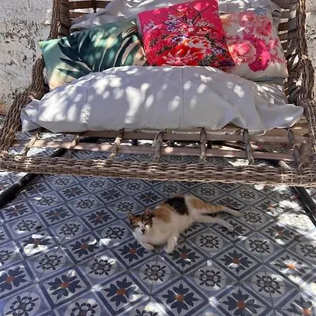 Mit Garten, 500 M Zum Strand, In Der Naehe Der Stadt Villa *