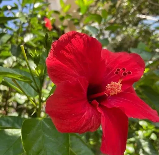 别墅 Mit Garten, 500 M Zum Strand, In Der Naehe Der Stadt