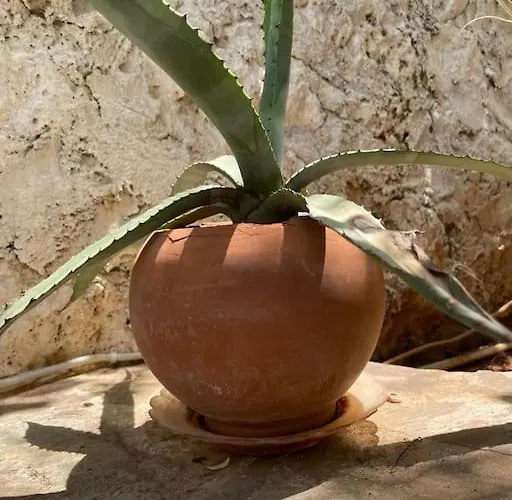 Mit Garten, 500 M Zum Strand, In Der Naehe Der Stadt