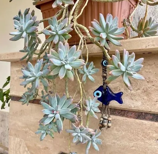 别墅 Mit Garten, 500 M Zum Strand, In Der Naehe Der Stadt