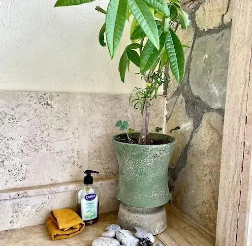 别墅 Mit Garten, 500 M Zum Strand, In Der Naehe Der Stadt