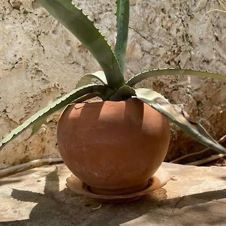 Mit Garten, 500 M Zum Strand, In Der Naehe Der Stadt